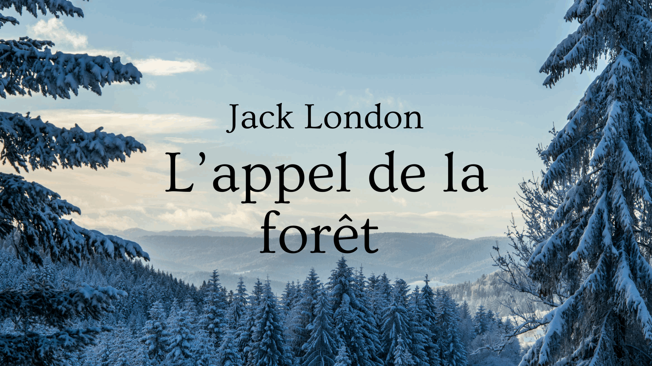 L-APPEL-DE-LA-FORET-MANDRILLON-NGUYEN-DNMADE17
