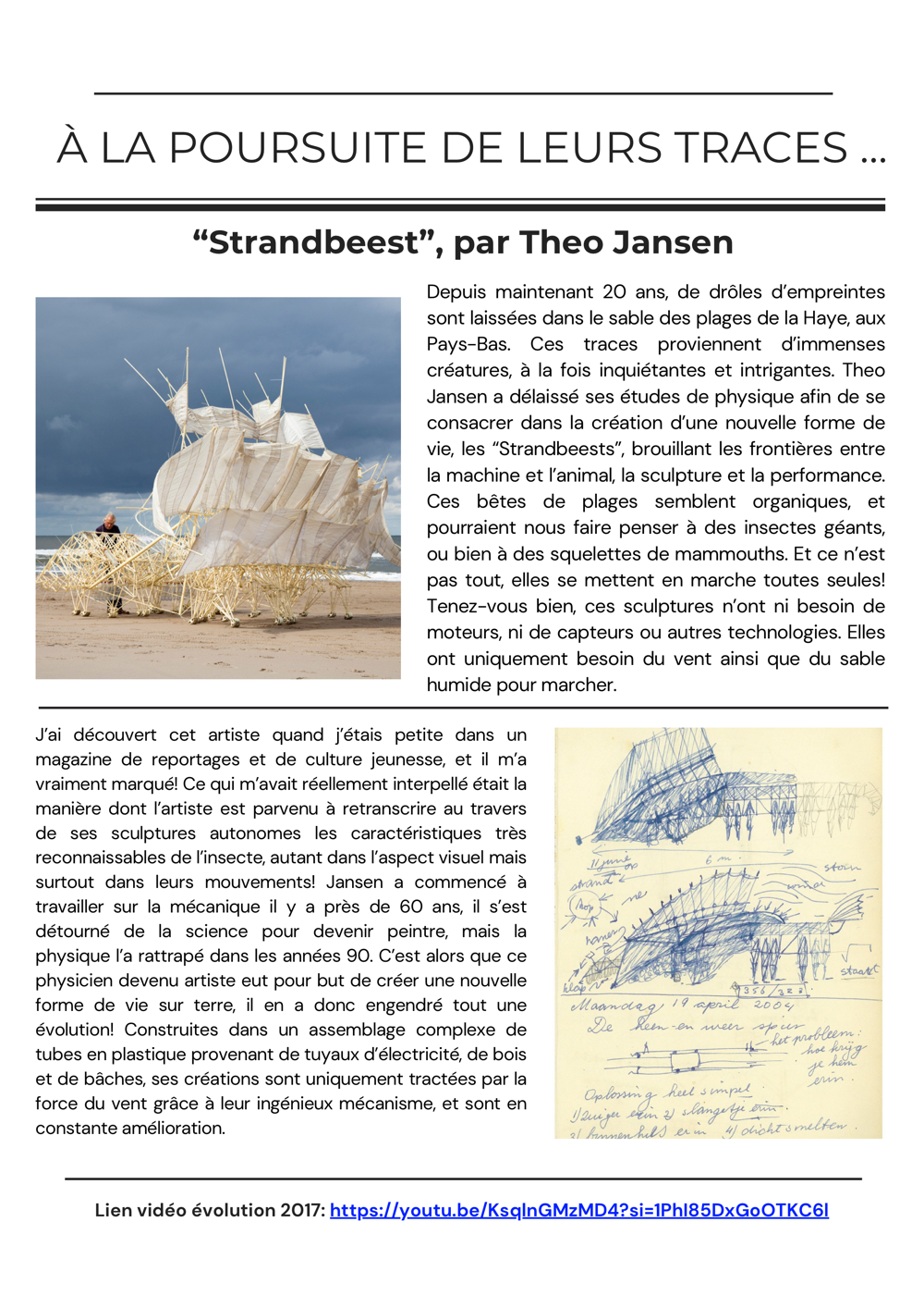 DABERE-Cali-DNMADEHO17-BLOG3-STRANDBEEST-JANSEN