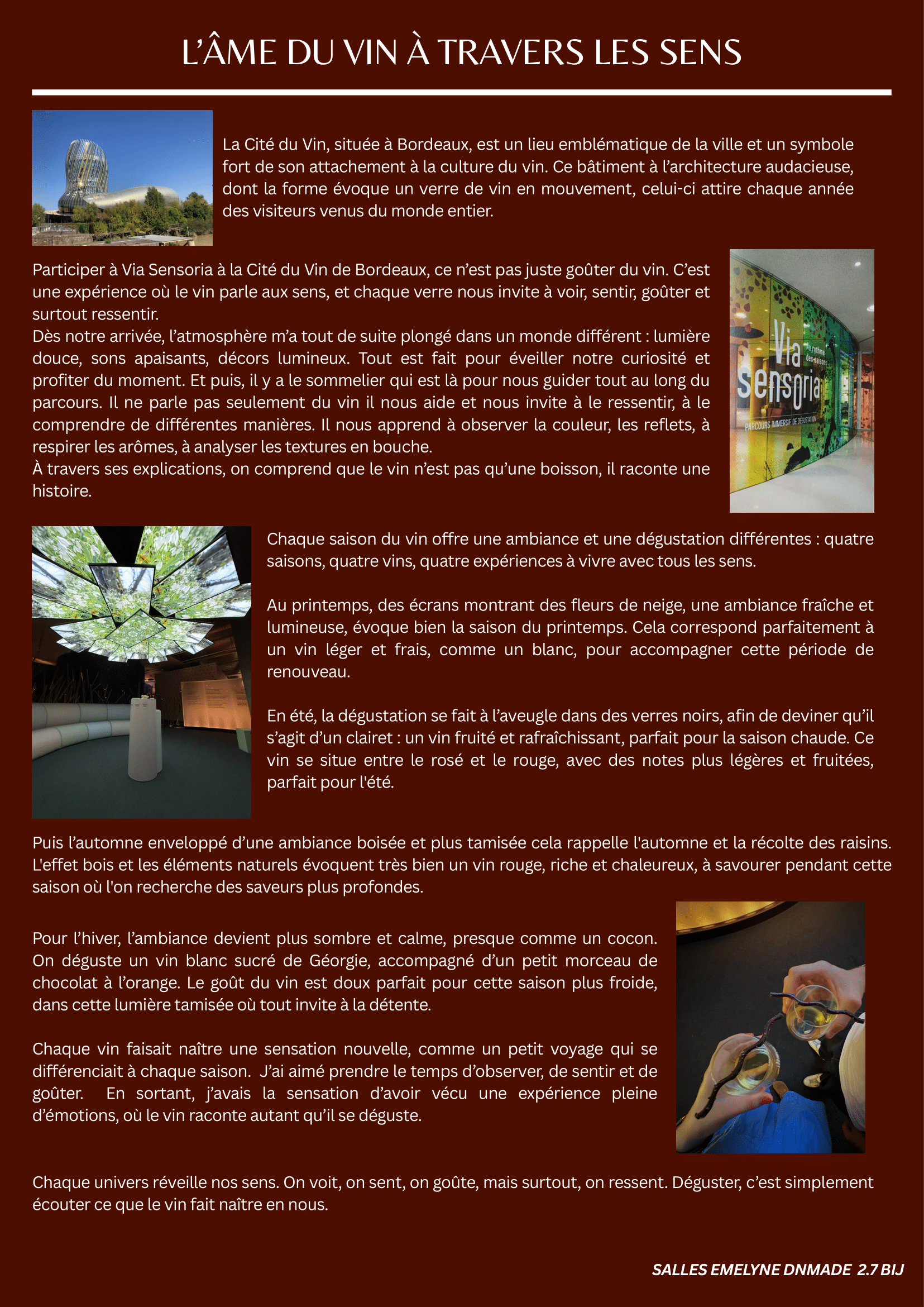 SALLES-Emelyne-DNMADE27JO-BLOG4