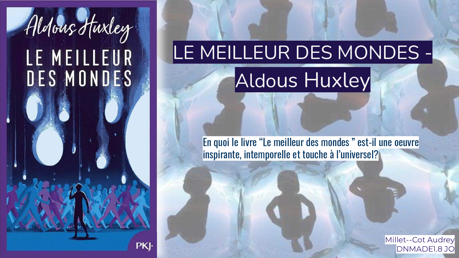 LE-MEILLEUR-DES-MONDES-MILLET-COT-DNMADE18